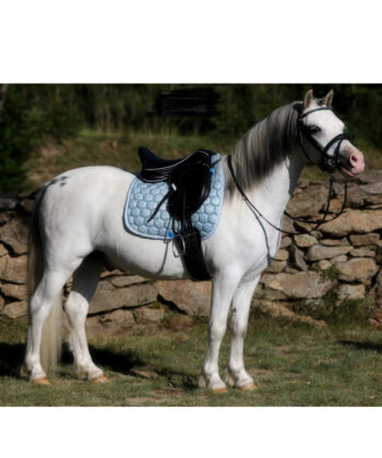 diamond-sattel-pony