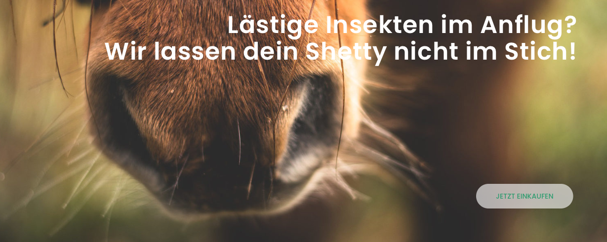 insektenschutz-fuer-shettys-und-minishettys