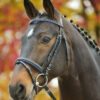 diamond-shetty-zaum-blau