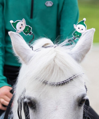 elf-zaumschmuck