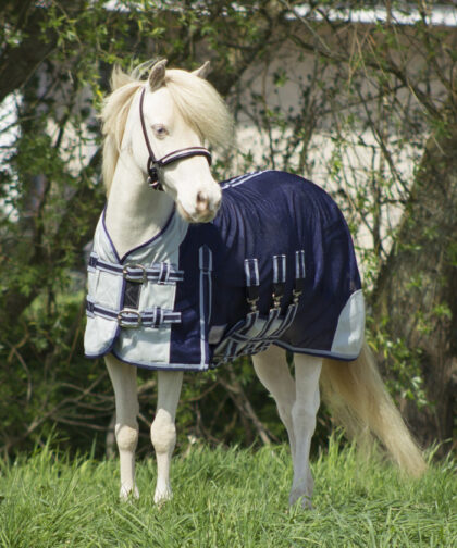 fliegendecke-halsteil-blau-grau-falabella