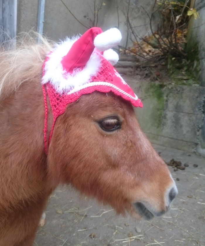 flocke-weihnachten flocke-weihnachten