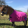 fuchsia-funnyhorses-decke