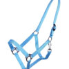 halfter-schuif-hellblau