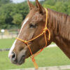knotenhalfter-smooth-orange