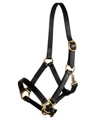 lederhalfter-mit-karabiner