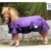 lila-regendecke-shetty