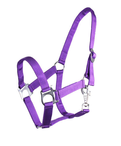 schuif-violett