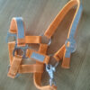 reflexhalfter-orange