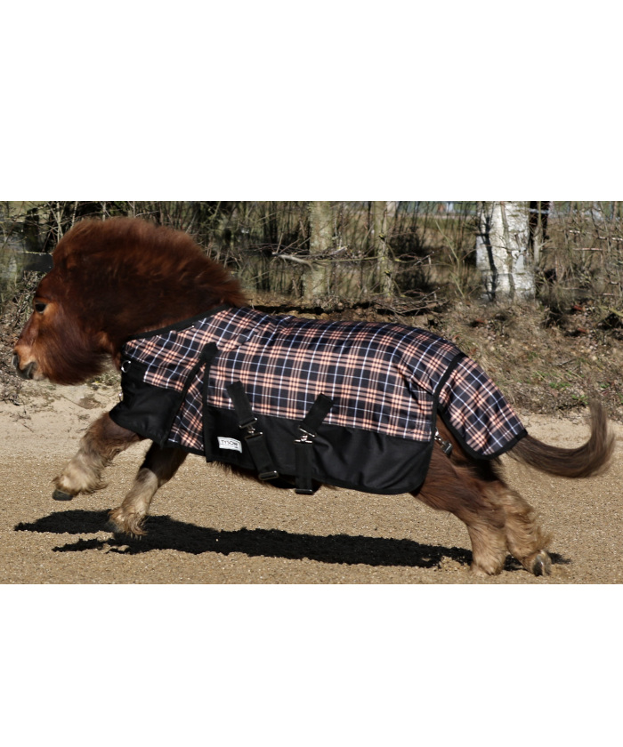 regendecke-karo-galopp regendecke-karo-galopp