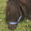 schuif-blau-tam