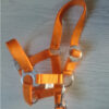 schuif-orange