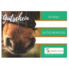 shetty-pony-gutschein
