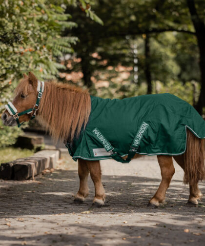 shetty-regendecke-light