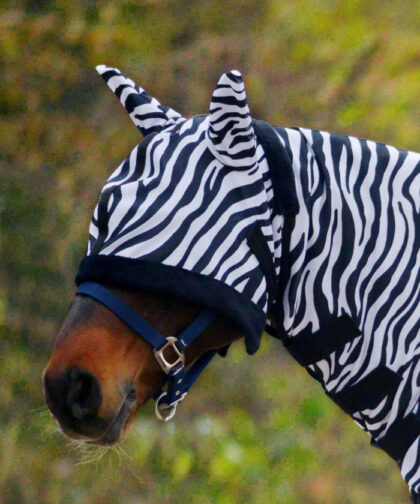 wh-fliegenmaske-zebra