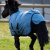 windchilly-hinten