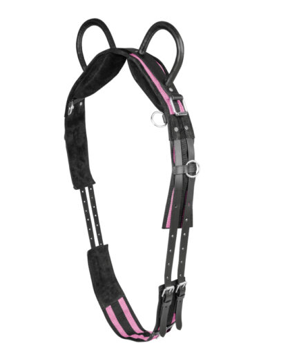 longiergurt-mit zwei-griffen-rosa