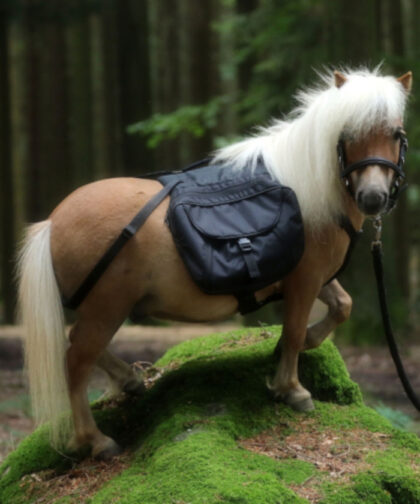 wanderrucksack-mini